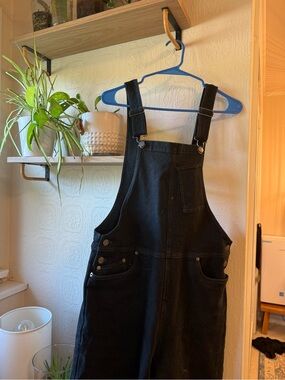 Toad&Co black denim Overalls